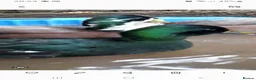 Ducks poultry for sale: 3 male call ducks - Advert 1