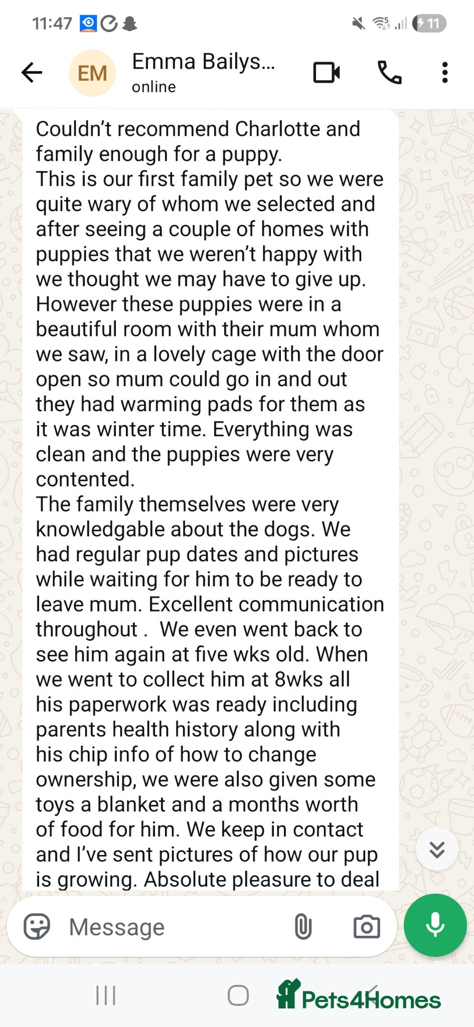 Cockapoo dogs for sale: STUNNING F1 COCKAPOOS  - Advert 2