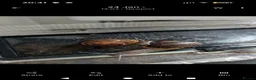 Snails invertebrates for sale: Garden snails x60 ISH plus some tank bits in Newport - Advert 1