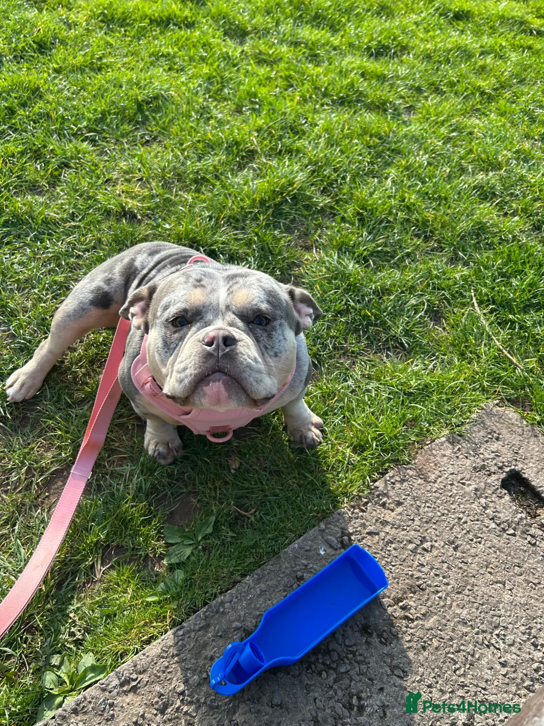 Gallery Image {{count}}