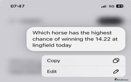 Mixed Breed dogs for sale: Make husky x - Image 3