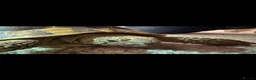 Hermann Tortoise reptiles for sale: Jack the tortoise  - Advert 3
