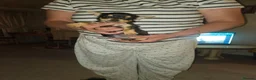 Jack Russell dogs for sale: Jack Russell's puppies in Hereford - Advert 4