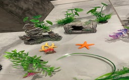 Catfish fish for sale: Fish tank with temperature fish  - Image 4