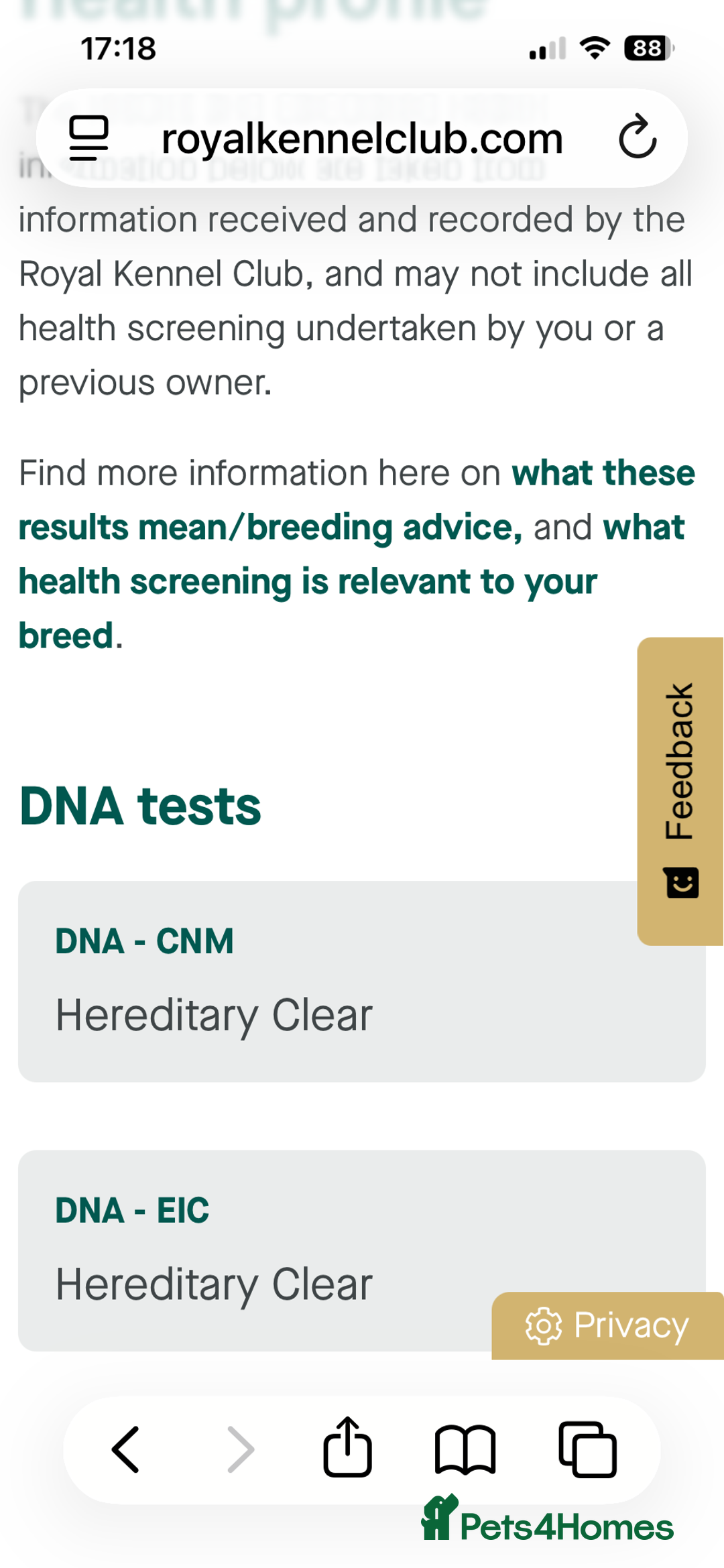 Labrador Retriever dogs for sale: Labrador Puppies - Advert 10