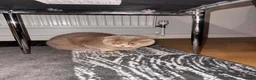 Scottish Fold cats for sale: Scottish Fold Cat in Northampton - Advert 3
