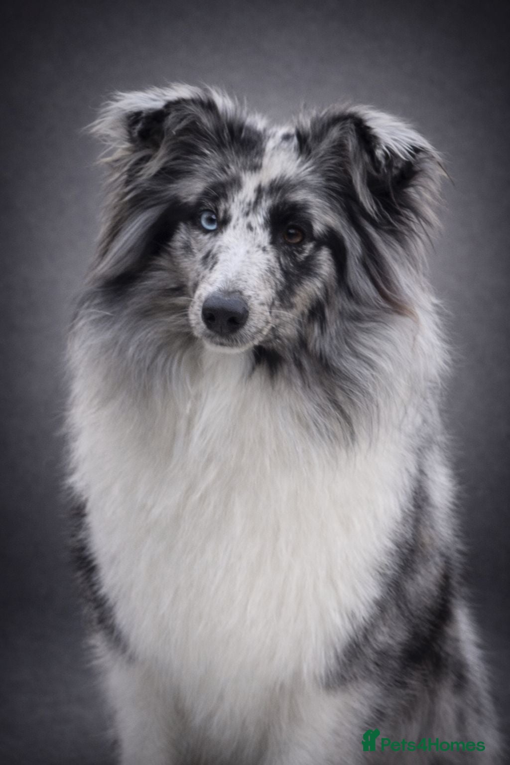 Skye