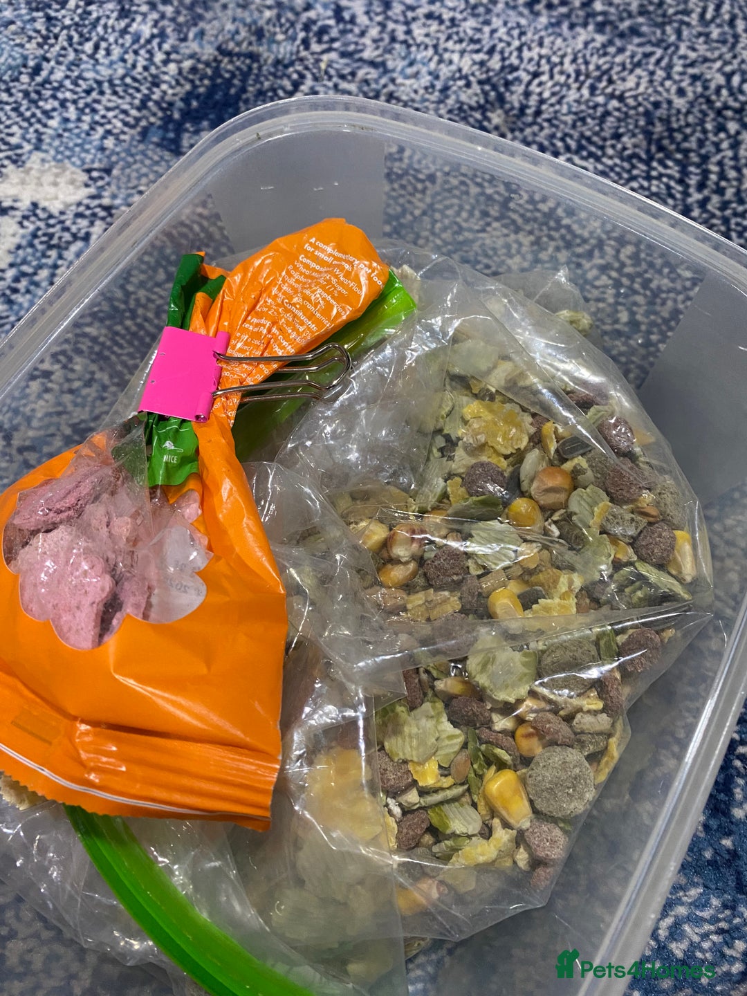 Hamster rodents for sale: Russian White Dwarf Hamster (and belongings!) - Advert 11