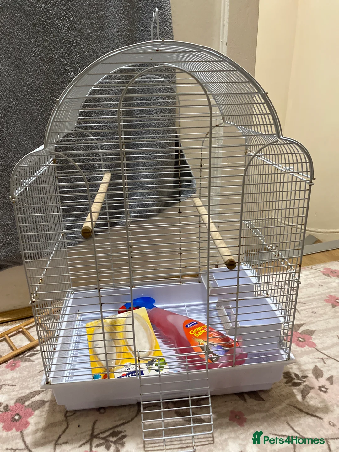 Budgerigars birds for sale: Budgies + cage with accessories and food for sale! in Enfield - Advert 4