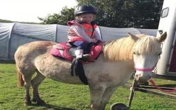 Riding pony horses for sale: For Sale Kids Lead Rein Pony! Safe and Bombproof - Advert 7