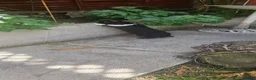 Rex rabbits for sale: Friendly male rabbit - Advert 4