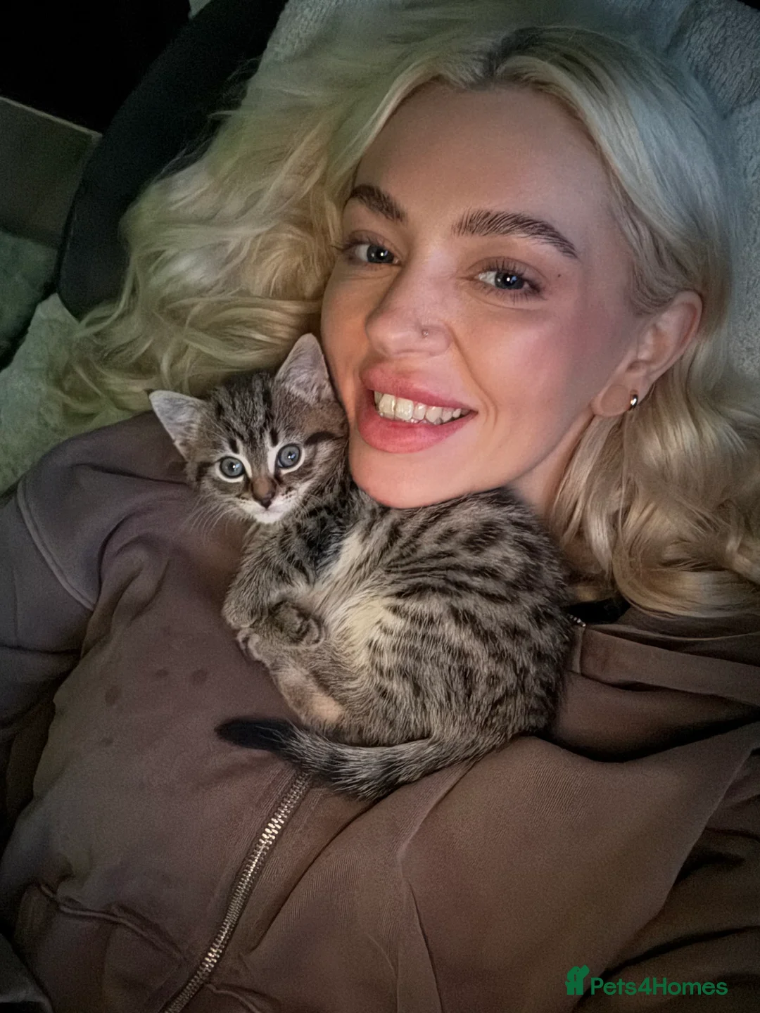 Mixed Breed cats for sale: 4 beautiful kittens for sale 🐱 - Advert 6