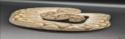 Python Snake reptiles for sale: Range of Royal Pythons - Advert 24