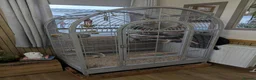 Conures birds for sale: Bonded Pair of Conures (Green Cheek & Pineapple) - Advert 5