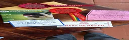 Rhodesian Ridgeback dogs for sale: !!KC CHAMPION AFRICAN RHODESIAN RIDGEBACK!! in Doncaster - Advert 30