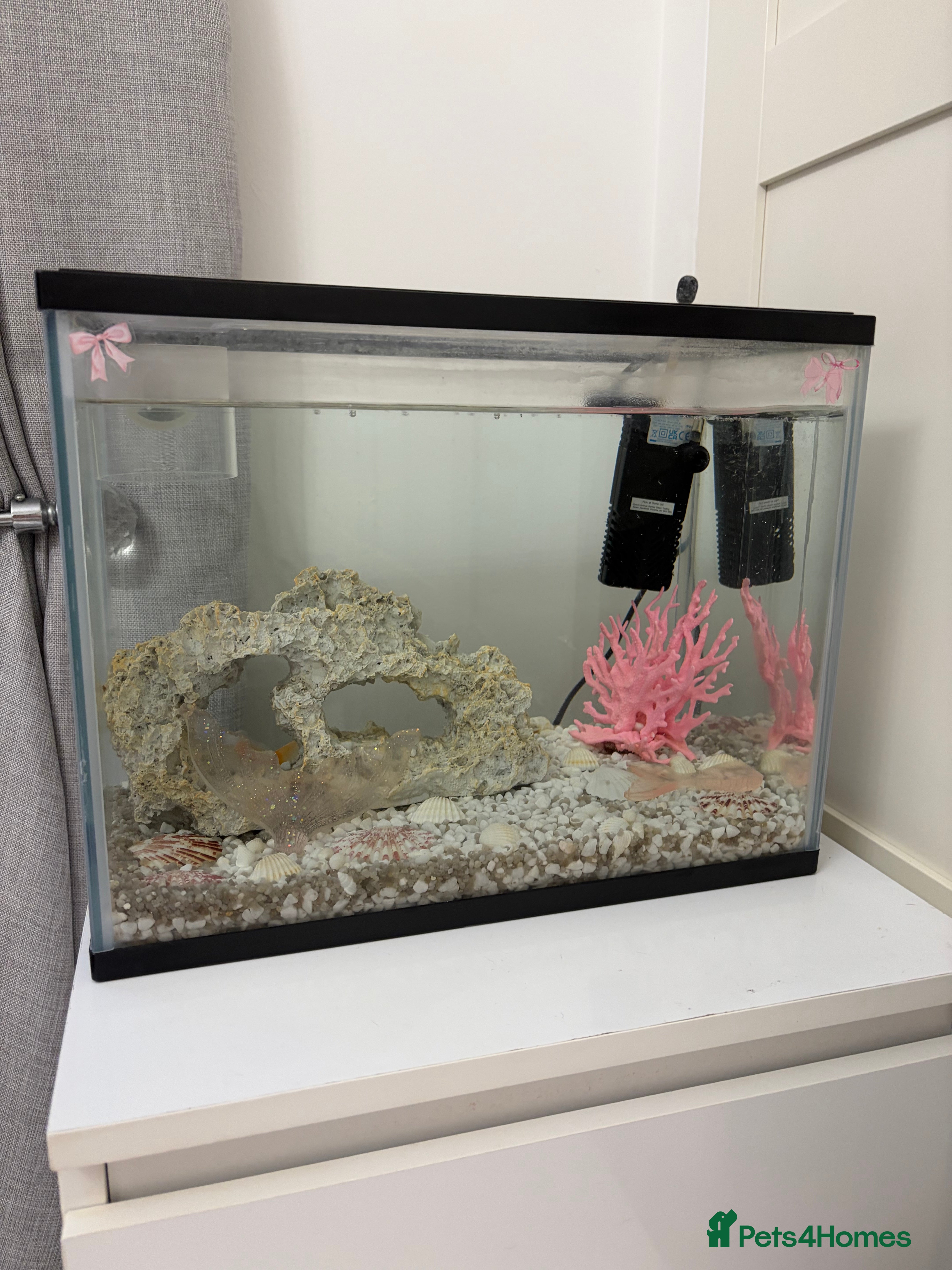 Goldfish fish Goldfish and Tank - Advert 16