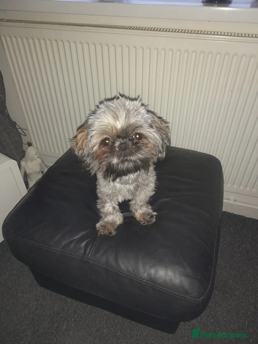 Gallery Image {{count}}