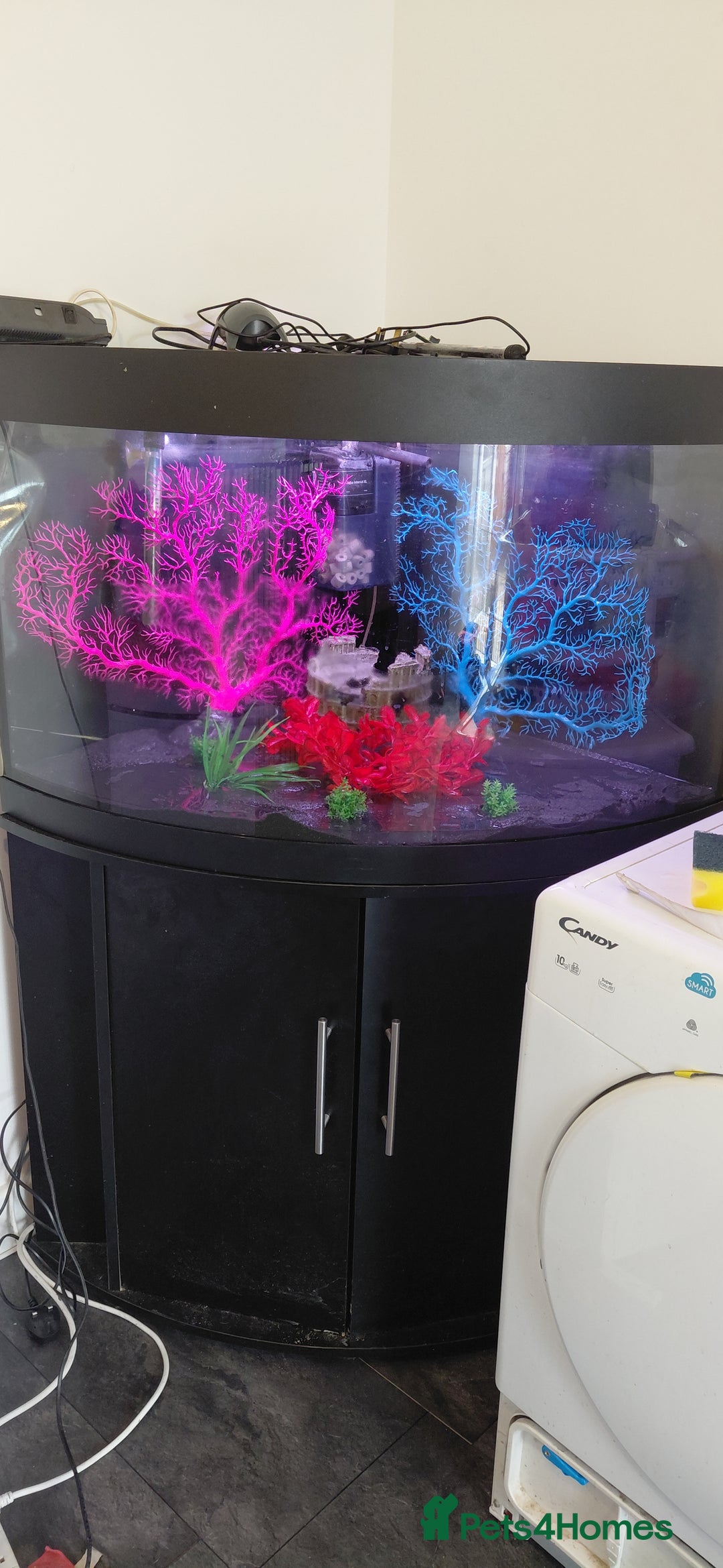 Other/Mixed Breed fish for sale: 190lt corner fishtank - Image 1