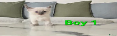 Boy 1