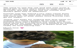 Cavapoo dogs for sale: Beautiful Health Tested F1 Cavapoos 🐶 - Image 38
