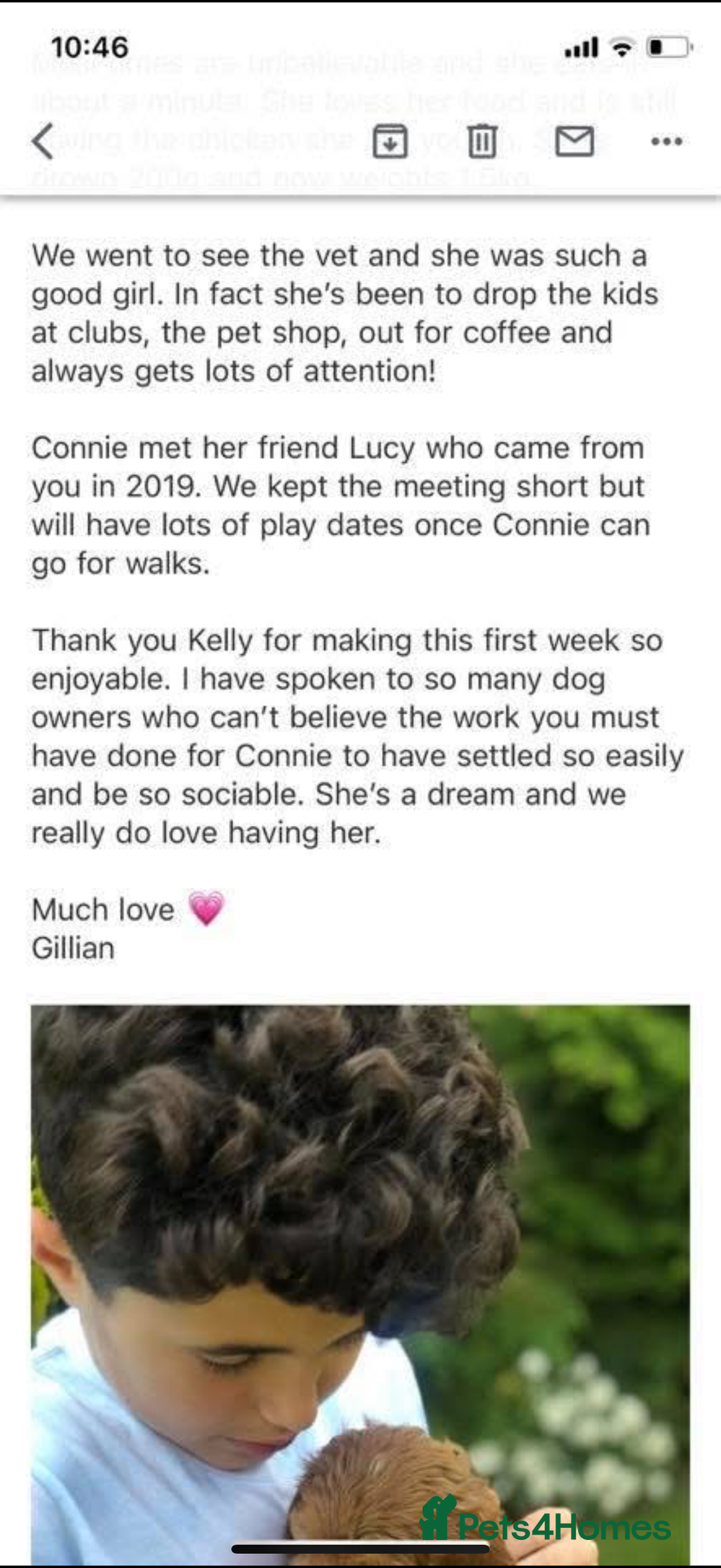 Cavapoo dogs for sale: Beautiful Health Tested F1 Cavapoos 🐶 - Image 38