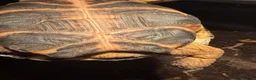Tortoise reptiles for sale: Horsefield tortoise and setup in Wigan - Advert 4