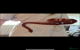 Corn Snake reptiles for sale: Corn snake for sale  - Image 2