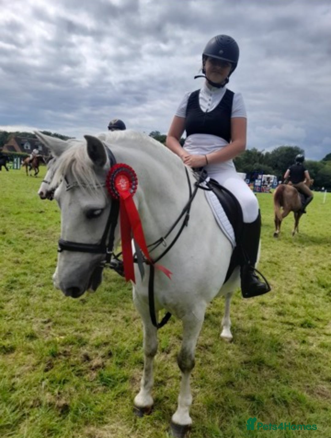 Connemara horses for sale: 💖BARBARA💖 - Image 2