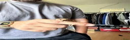Gecko reptiles for sale: Crested gecko with setup  in Reading - Advert 4