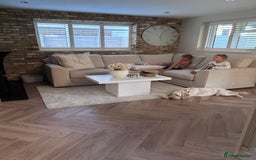 Cockapoo dogs for sale: 5 year old cockapoo girl  - Image 5