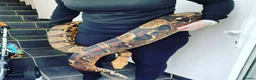 Boa Snake reptiles for sale: 9ft Boa constrictor plus vivarium  in Saint Leonards-on-sea - Advert 1