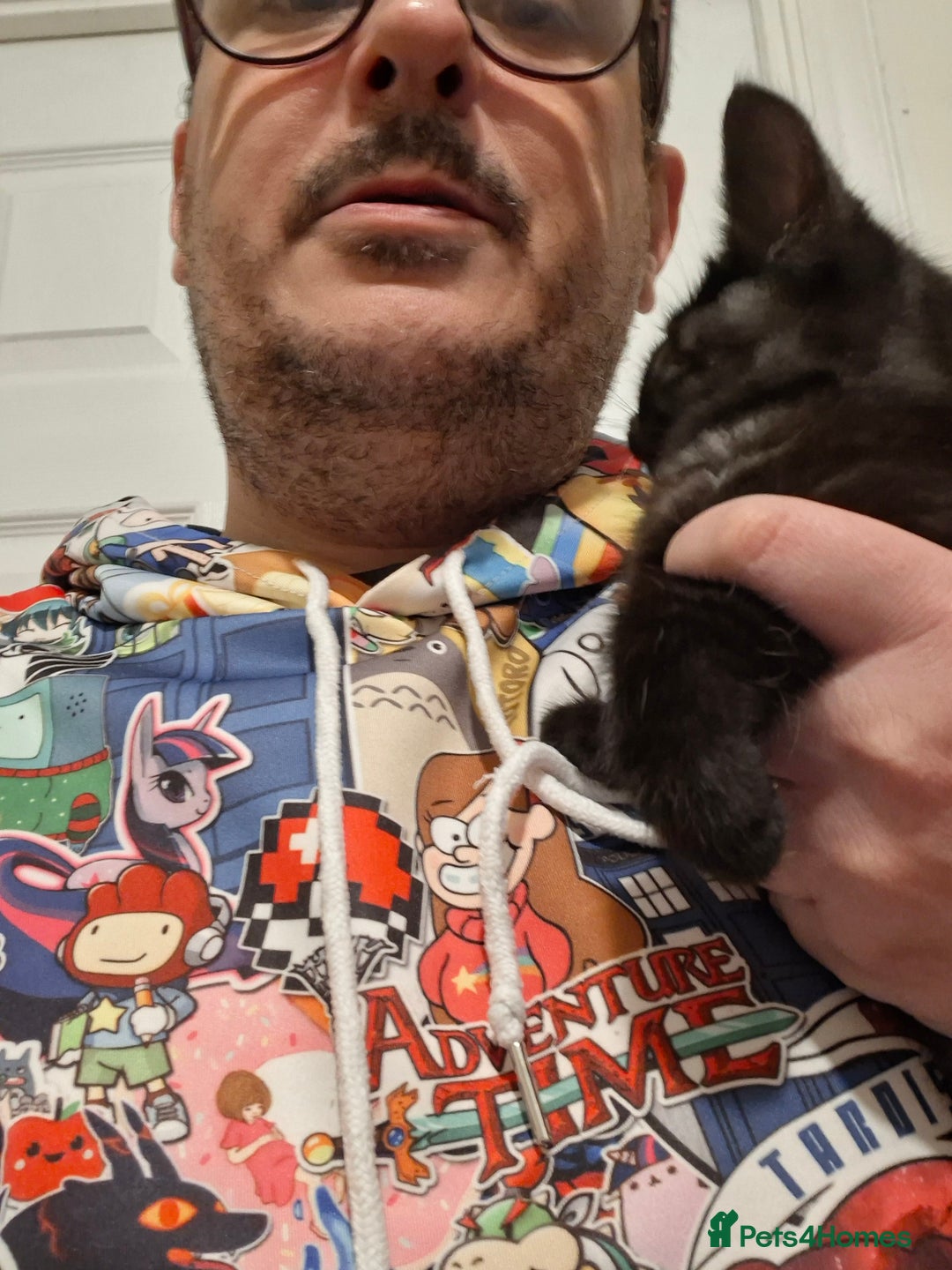 Maine Coon cats for sale: Beautiful, friendly playful Maine Coon cross kits - Advert 30