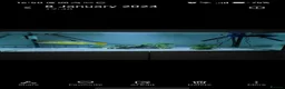 Pufferfish fish for sale: Fahacka puffer  in Houghton le Spring - Advert 3