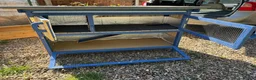 Guinea Pig rodents for sale: Guinea Pigs - Ready Now - Advert 28
