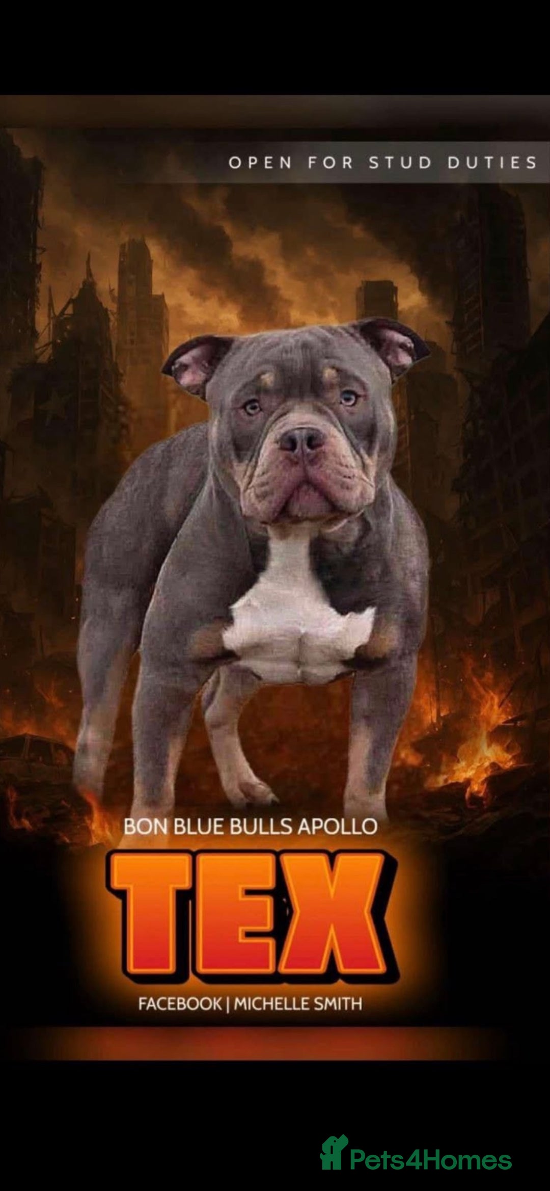 Gallery Image {{count}}