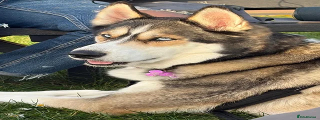 Skye