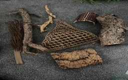 Leopard Gecko reptiles for sale: Exo Terra Terrarium - Full Leopard Gecko Setup - Advert 5