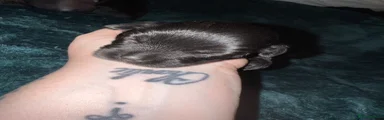 Puppy 5