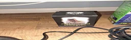 Tarantulas invertebrates for sale: Collection of tarantulas & equipment for new home  - Advert 6