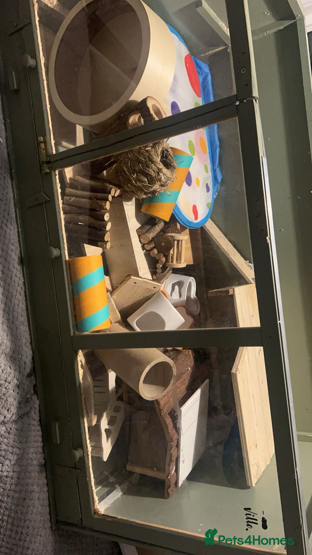 Hamster rodents for sale: CAGE ONLY NO HAMSTER  - Image 2