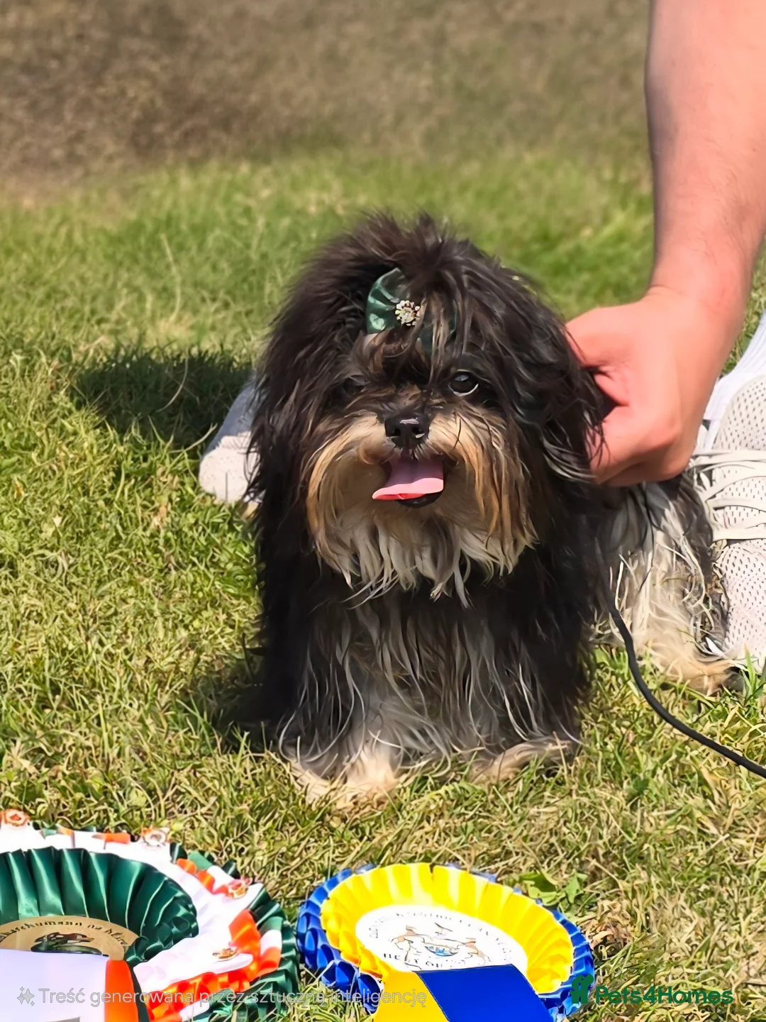 Gallery Image {{count}}