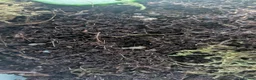 Snails invertebrates for sale: Giant African land snail babies  in Plymouth - Advert 8