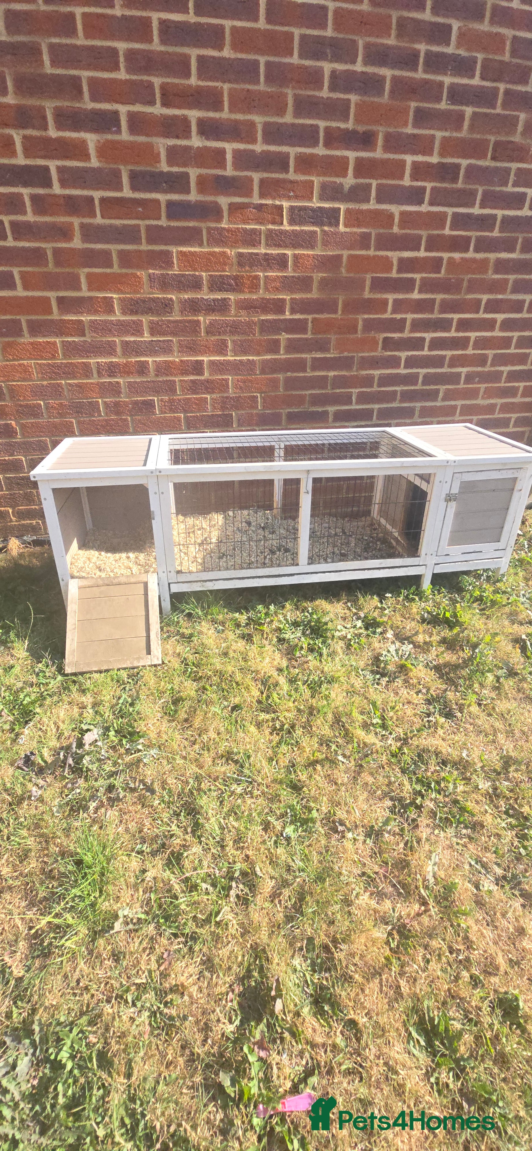 Chickens poultry Rabbit hutch £40 Quick Sale - Advert 16