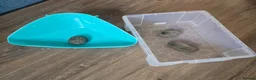 Rat rodents for sale: Rat cage (no rats) - full set up in Colchester - Advert 6