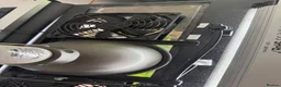 Frog reptiles for sale: Bioactive Vivarium in Sutton-in-Ashfield - Advert 3