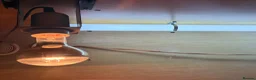 Bearded Dragon reptiles for sale: Female adult Bearded dragon  in Hailsham - Advert 4
