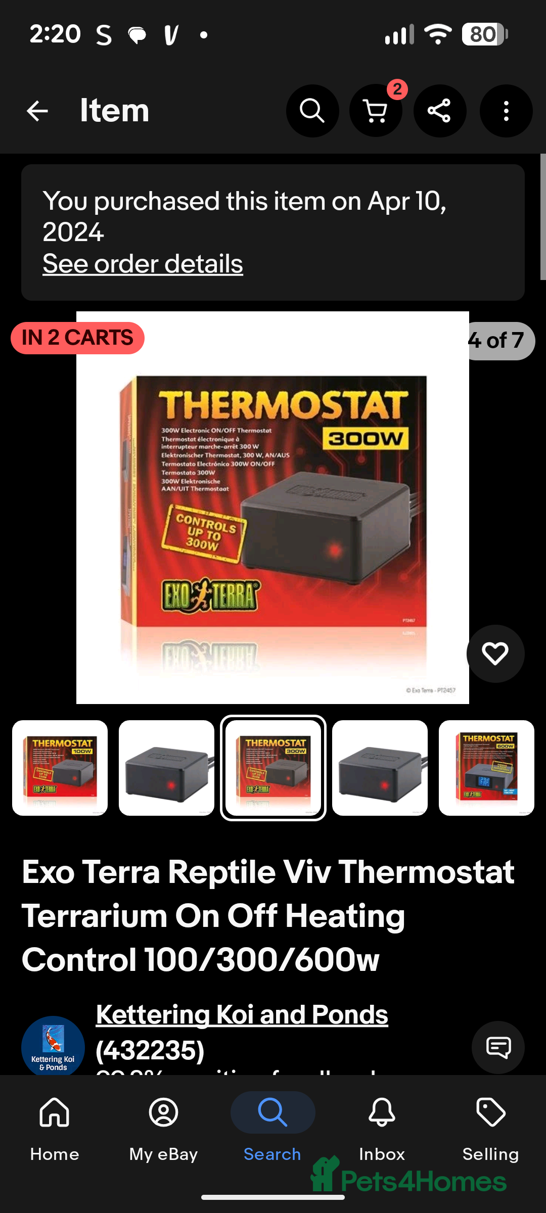 Corn Snake reptiles for sale: Male Corn Snake 2 Years - Image 18