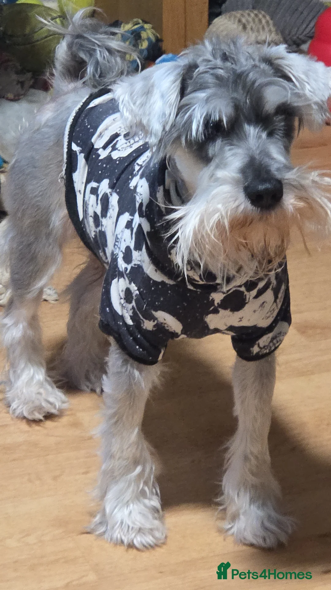 Gallery Image {{count}}