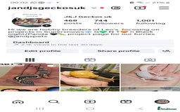 Leopard Gecko reptiles for sale: 1 LEFT Blacknight linage macksnows leopard geckos  - Image 9