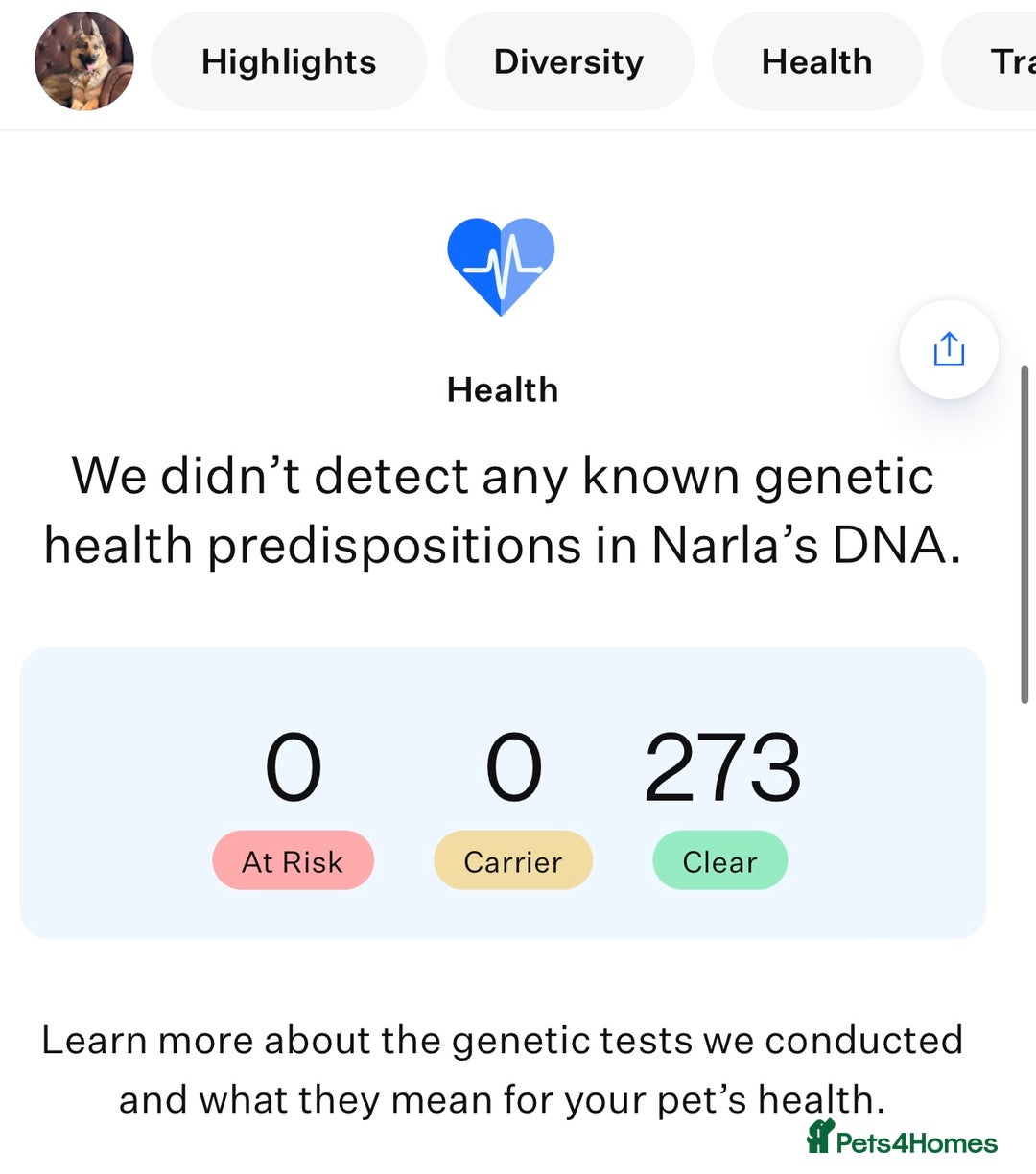 German Shepherd dogs for sale: KC fully health tested parents straight backed  - Advert 10